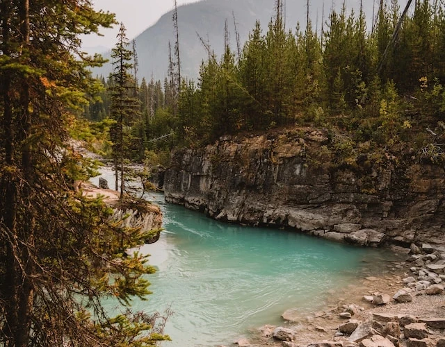 Johnston Canyon & Lake Minnewanka Day Tour | Banff National Park