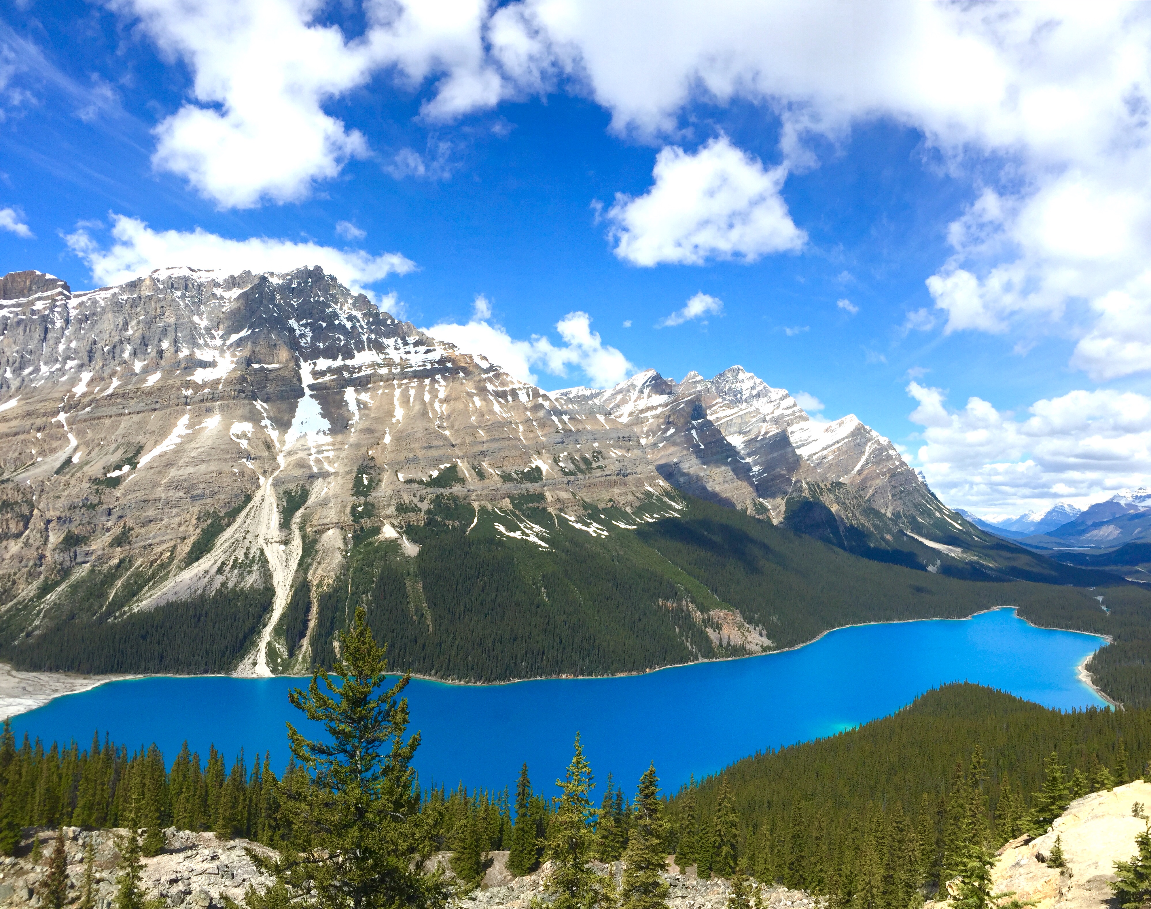 Canadian Rockies, Banff+Jasper National Parks from Calgary, visit Johnston Canyon, Columbia Icefield, Peyto Lake 4-days tour