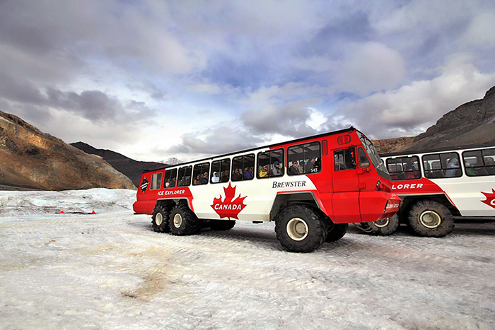 [2-Day Canadian Rockies] in Jasper, visit Columbia Icefield with Snow coach and skywalk, Maligne Lake, Peyto Lake, Bow Lake and Athabasca Falls,Walk on Maligne Canyon