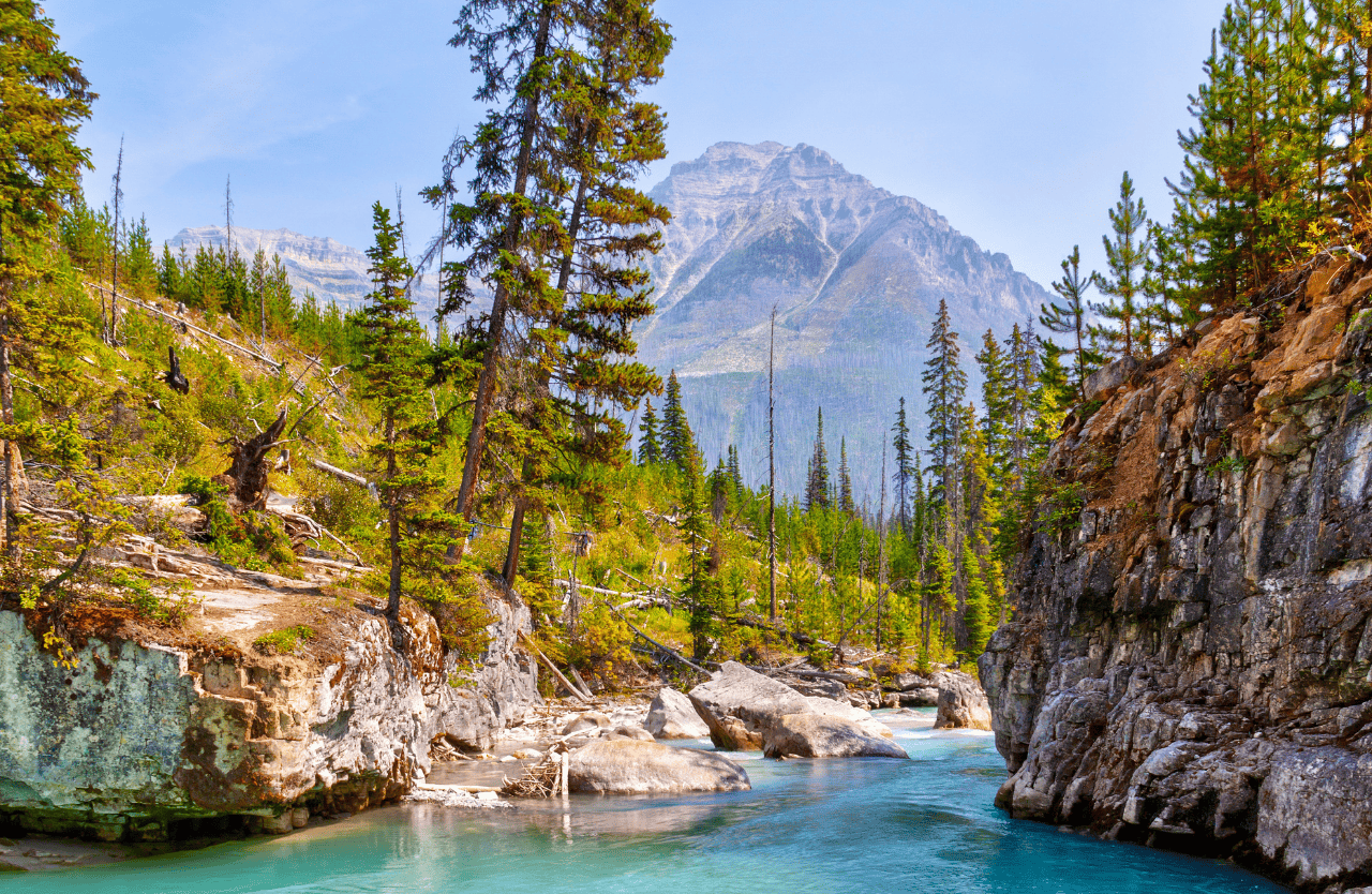 Hidden Gems of the Canadian Rockies: Johnston & Marble Canyons, Banff Town, and Alpine Lakes Day Trip