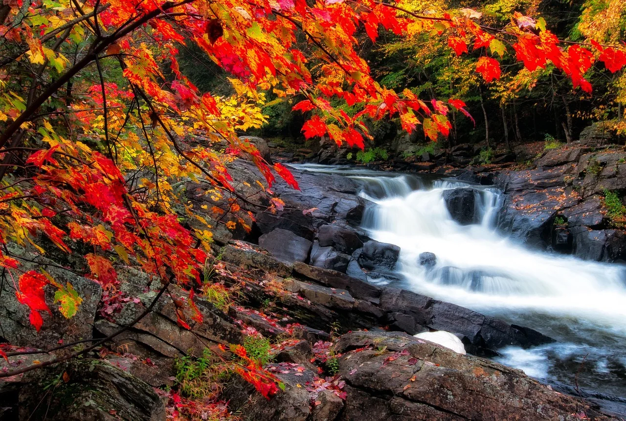 2026 Canada Fall Foliage: 5-Day Tour | Agawa Canyon Train & Niagara Falls