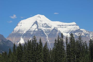 ttd-mafr_9b05a9f1d0234d09b3225197e478b3ae.jpg