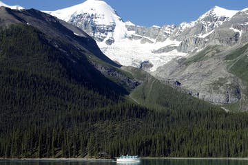 ttd-mamc_8773d3e1a52f4610a5a36a39c1eb63f7.jpg