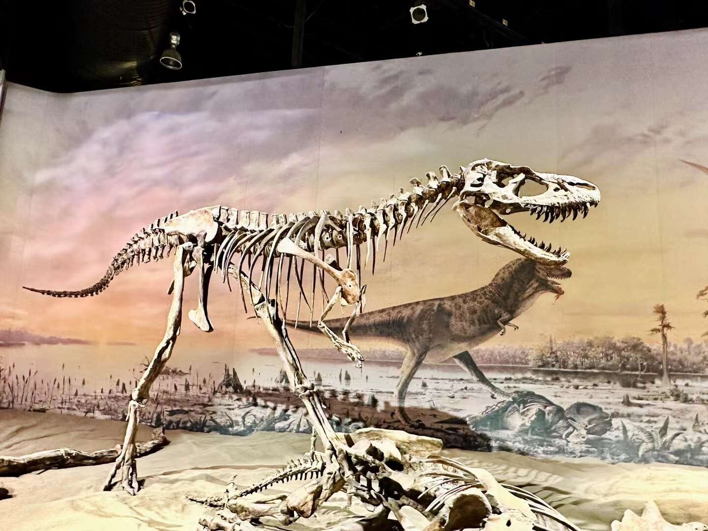 royal-tyrrell-museum-dinosaur-tour-from-calgary