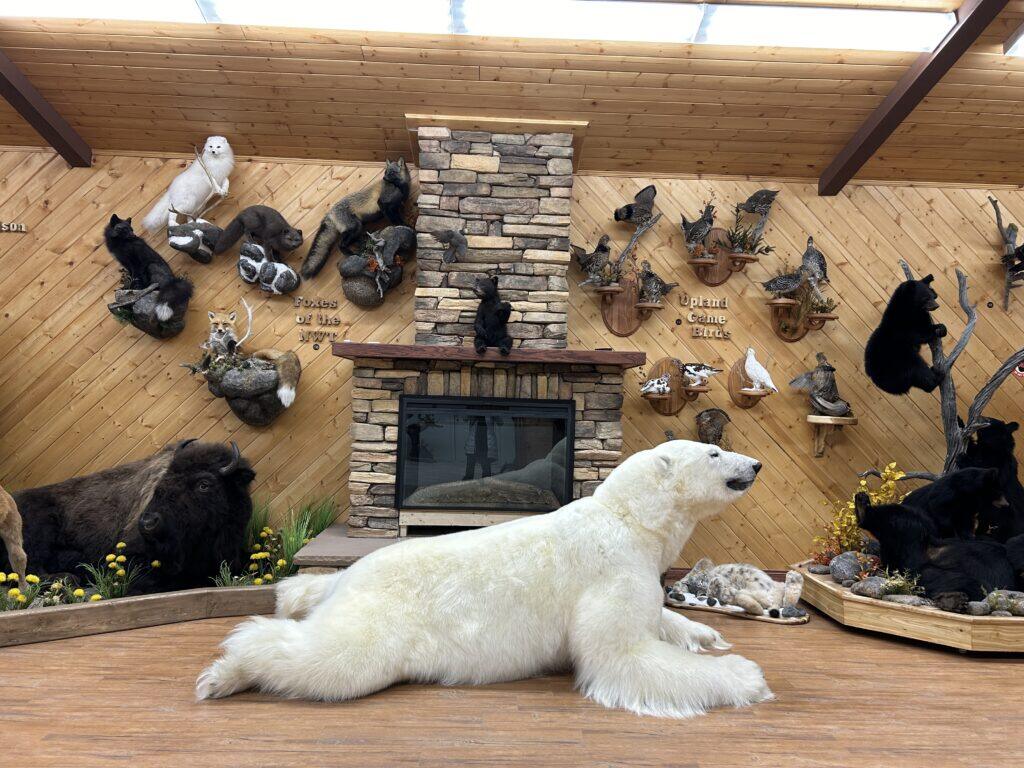 3-Day Yellowknife Aurora Tour | 95% Northern Lights Viewing Chance | Dog Sledding, Ice Lake Bath & Sauna | Mandarin Guide & Airport Transfer Included