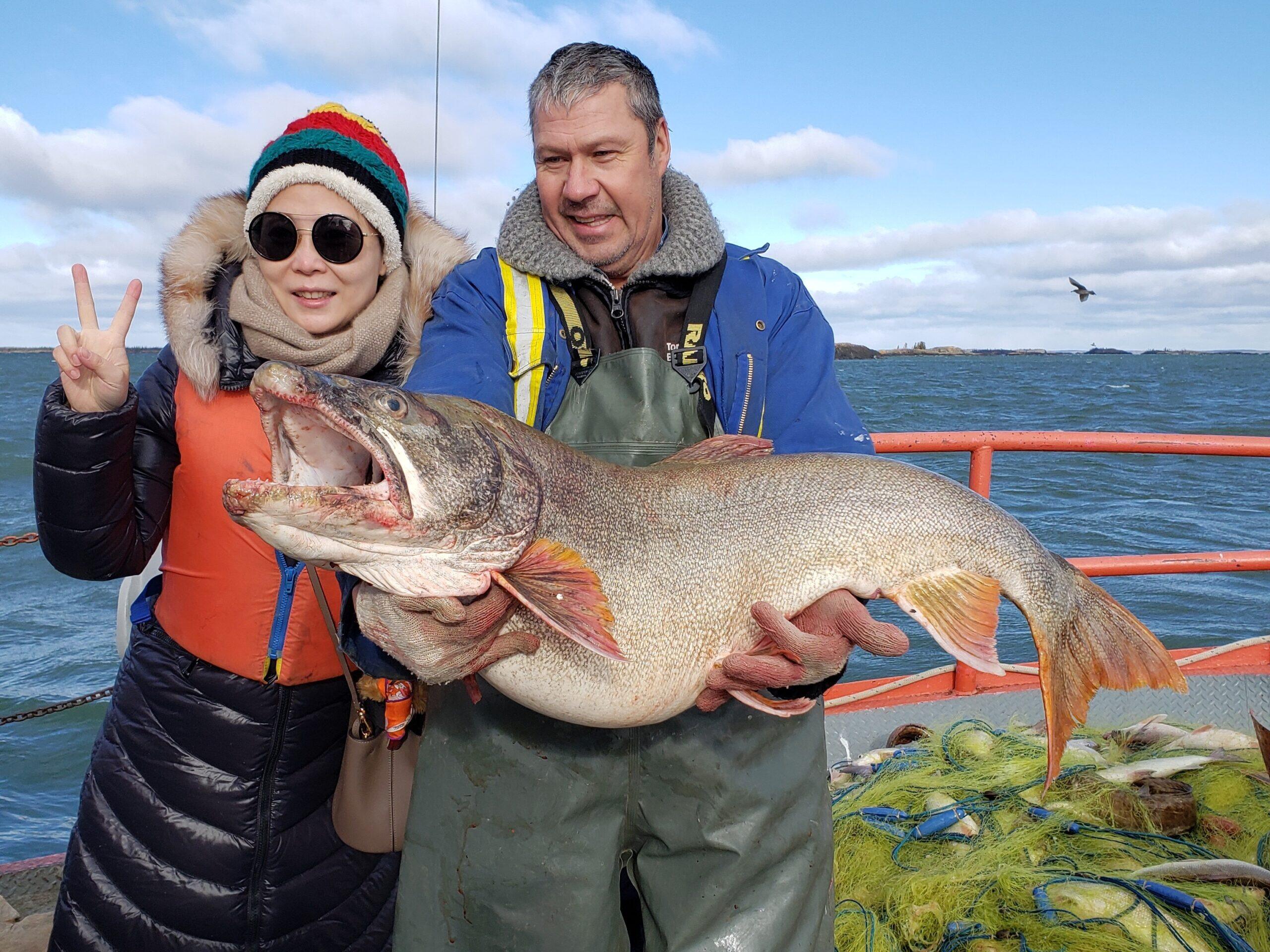 4-Day Yellowknife Aurora Gold Package | 98%+ Northern Lights Viewing Chance | Dog Sledding & Helicopter Tour | Breakfast, Mandarin Guide & Airport Transfer