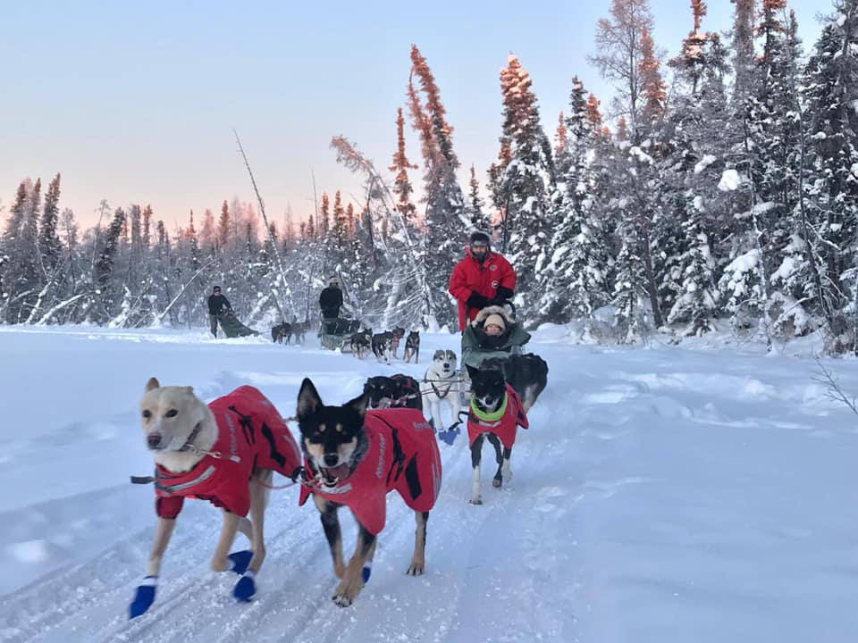 4-Day Yellowknife Aurora Gold Package | 98%+ Northern Lights Viewing Chance | Dog Sledding & Helicopter Tour | Breakfast, Mandarin Guide & Airport Transfer