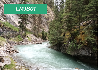 Rockies Tour: Lake Louise, Moraine Lake, Johnston Canyon