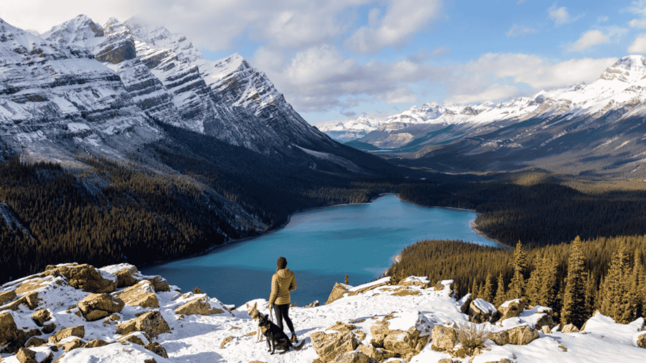 Jasper and Banff National Parks Day Trip