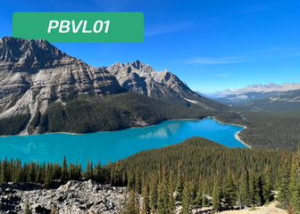 Banff National Park & Icefield Parkway Day Trip