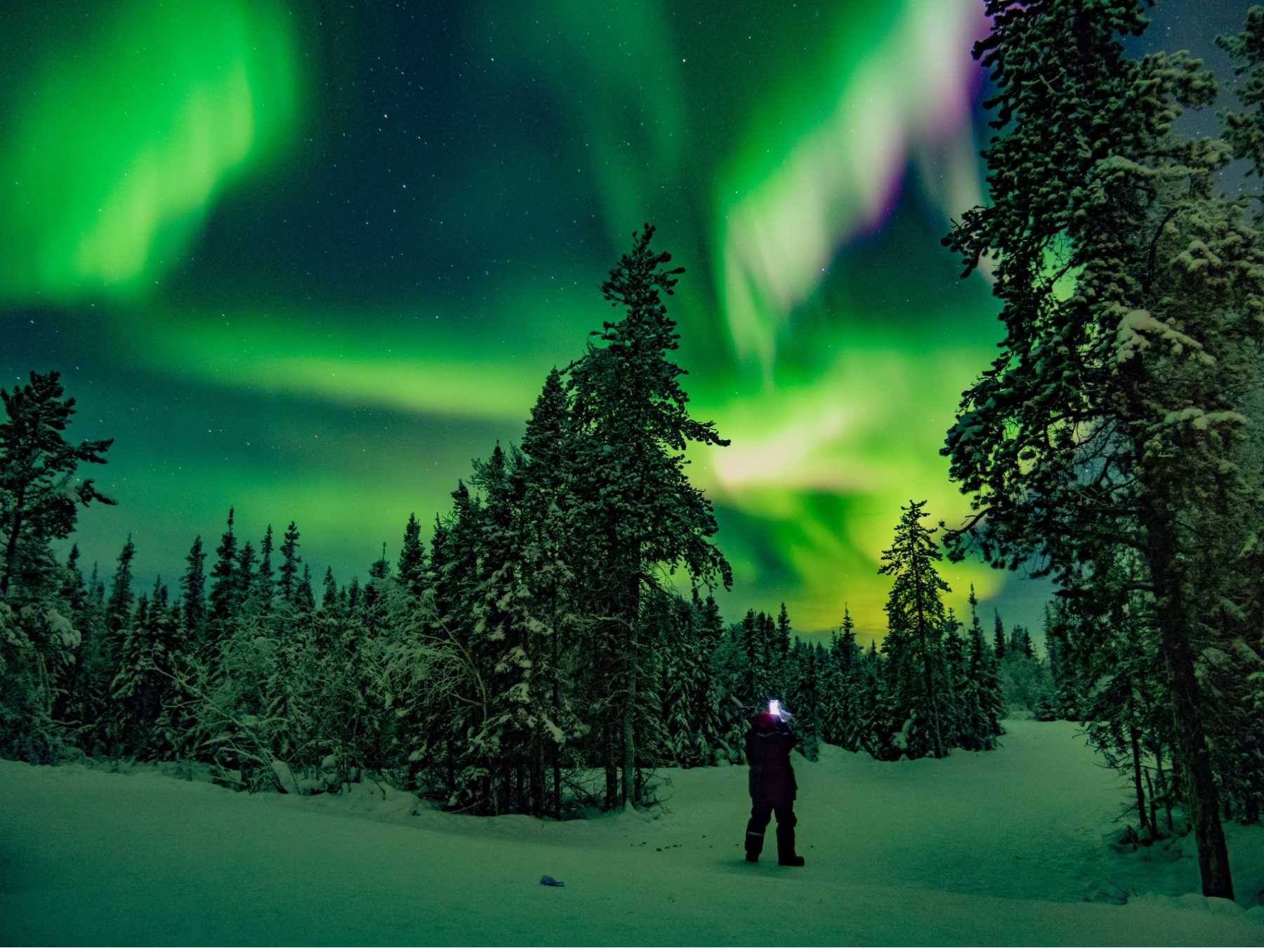 5-Day Tour Yellowknife Aurora Hunting Tour