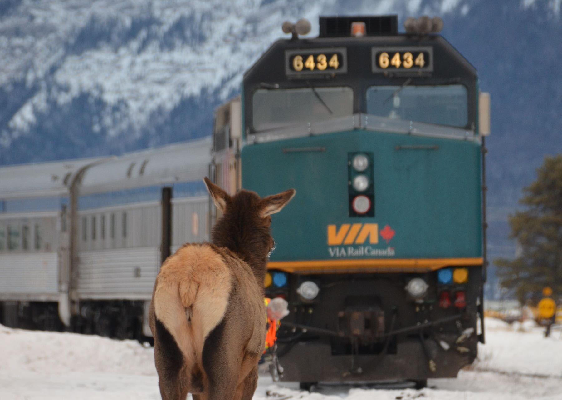 Winter VIA Rail Canada 6-Day Tour of the Canadian Rockies- Vancouver in/ Calgary out, Semi-Guided Tour, visiting Banff, Lake Louise